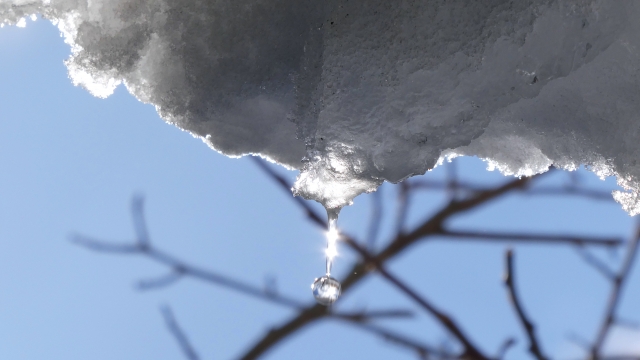 雪解けのしずくと陽光