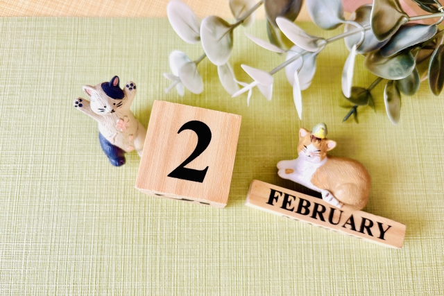 2月猫がいるかわいいイメージ