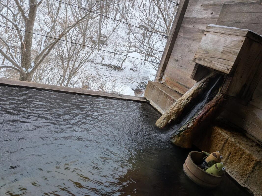 行ってきますと降る雪とただいまと空に帰ってゆく湯気の世界を楽しむ温泉