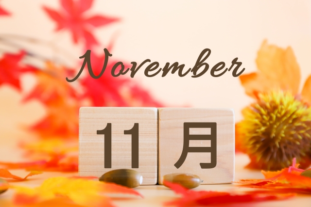 11月イメージ_紅葉とイガグリ